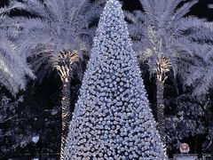 -广交会威斯汀酒店