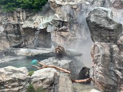 -珠海长隆海洋王国