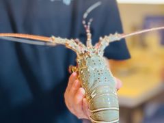 -白仁仔· 活烤海鲜 宵夜(豫园店)