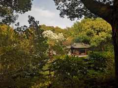 -汇龙潭