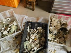 -佳缘野生菌食府