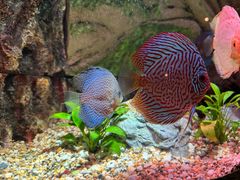 -上海海洋水族馆