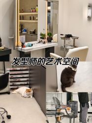 -蚂蚁造型俱乐部