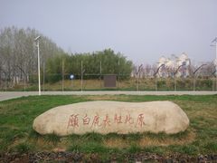 -白鹿原葡萄主题公园