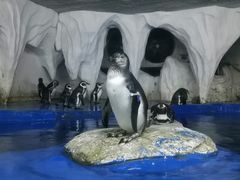 -太平洋海底世界