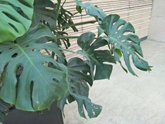 -西安大唐西市博物馆