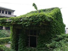 -枸杞岛