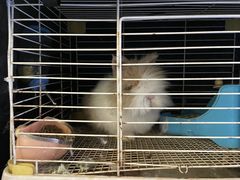 -后海16号·北京私房菜