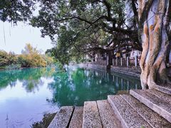 -小洲村