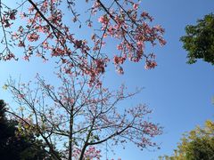 -风云岭森林公园