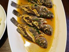 -单家老院·院子里的青岛菜(沙子口店)