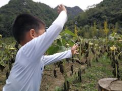 -贵阳市花溪国家城市湿地公园