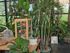 -北马山庄植趣咖啡