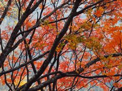 -叠溪松坪沟景区