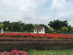 -广东花都香草世界旅游度假区