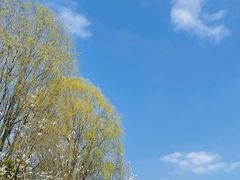 -国际非物质文化遗产博览园