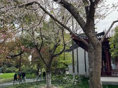 -堤角公园