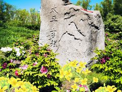 -莲花池公园