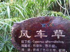 -呀诺达热带雨林