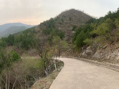 -北京鹫峰国家森林公园