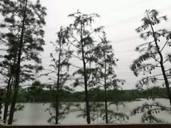 -昆山城市生态森林公园