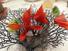 -迦南苑·新派青岛菜·生日纪念日主题餐厅