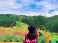 -驼梁风景区
