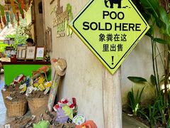 -大象粑粑造纸公园