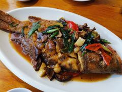 红湄鲷-南蚝小贝海鲜特色餐厅(南澳岛店)