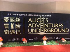 -爱丽丝冒险奇遇记