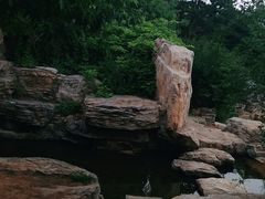 -北京西山国家森林公园