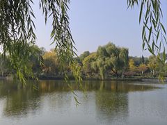 -石家庄市植物园