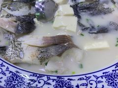 -全乐鱼馆·淳牌有机鱼直营店