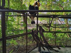 -深圳野生动物园
