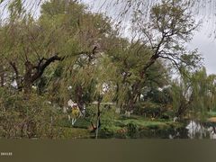 -柳浪闻莺公园