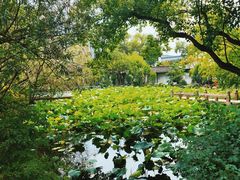 -上海醉白池公园