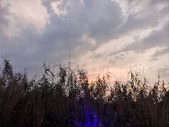-长兴太湖图影湿地文化园