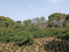 -尚贤河湿地