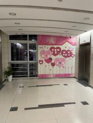 -复旦大学附属妇产科医院(杨浦院区)