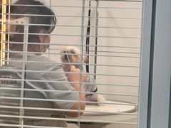 -帕帕拉兹宠物(亚洲旗舰店)