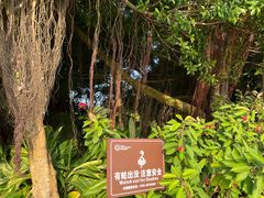 -深圳湾公园(南山区)