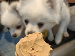 -喜茶(南京仙林金鹰店)