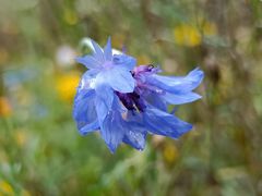 -昆明市金殿名胜区