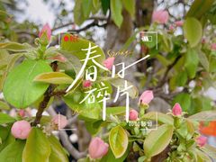 -拙政园