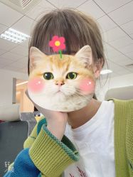 点击看大图 -PE SALON