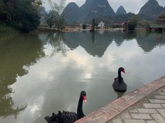 -靖西鹅泉风景区