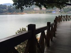 -广州市流溪河国家森林公园