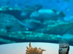-亚特兰蒂斯•OSSIANO奥西亚诺海底餐厅