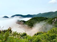 -桃花岛风景旅游区