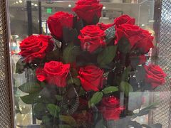 -ROSEONLY诺誓(磐基中心店)